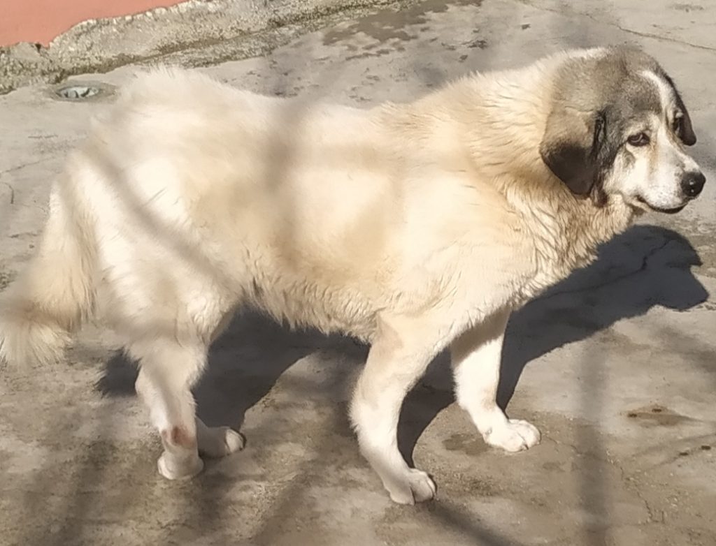 ΚΑΝΑ