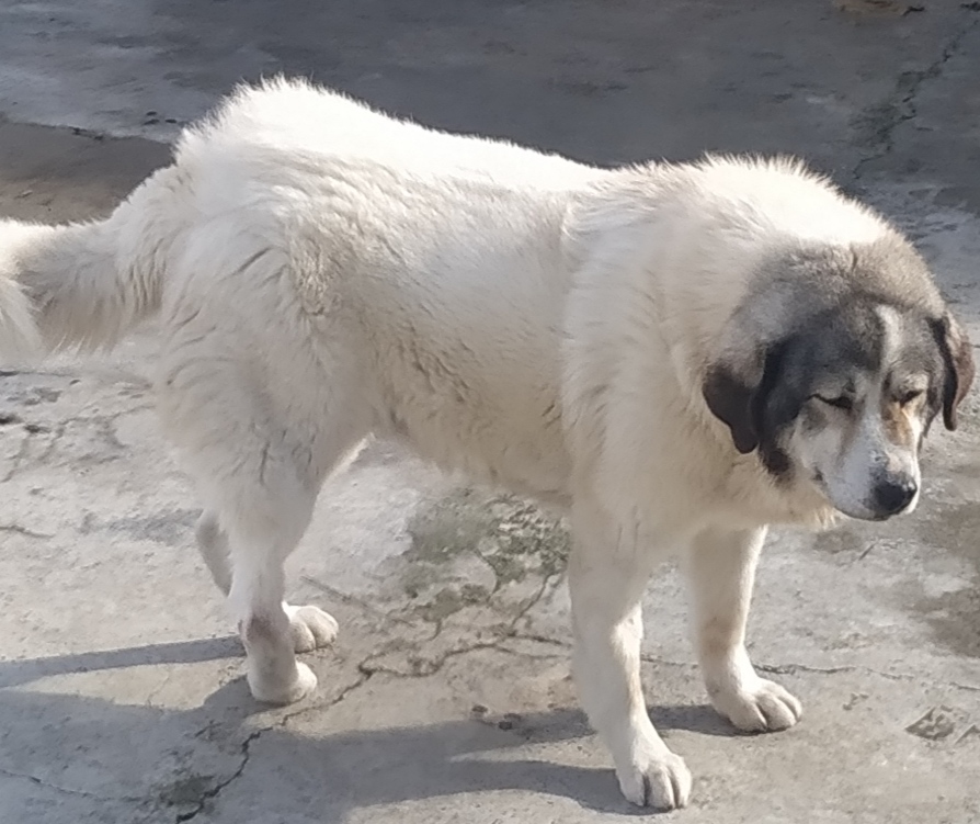 ΚΑΝΑ