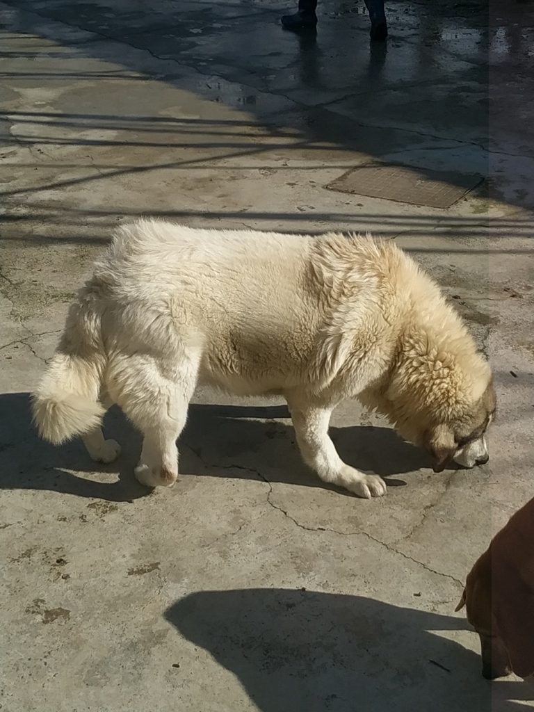 ΚΑΝΑ