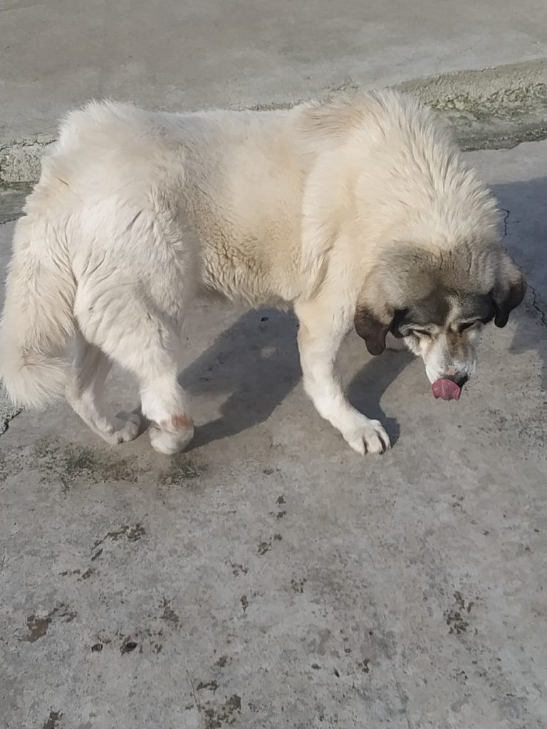 ΚΑΝΑ