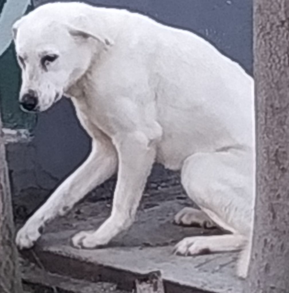 ΜΙΜΗ