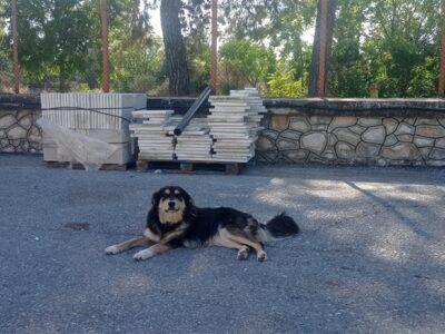 ΜΠΕΜΠΑ