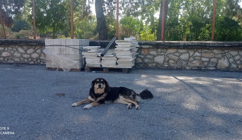 ΜΠΕΜΠΑ