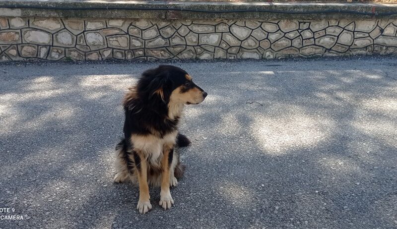 ΜΠΕΜΠΑ