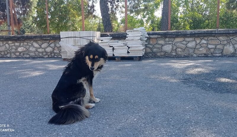 ΜΠΕΜΠΑ